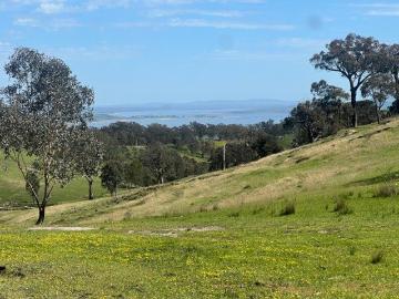 HARRY'S PADDOCK 42.6*Ha | 105.3*Acres