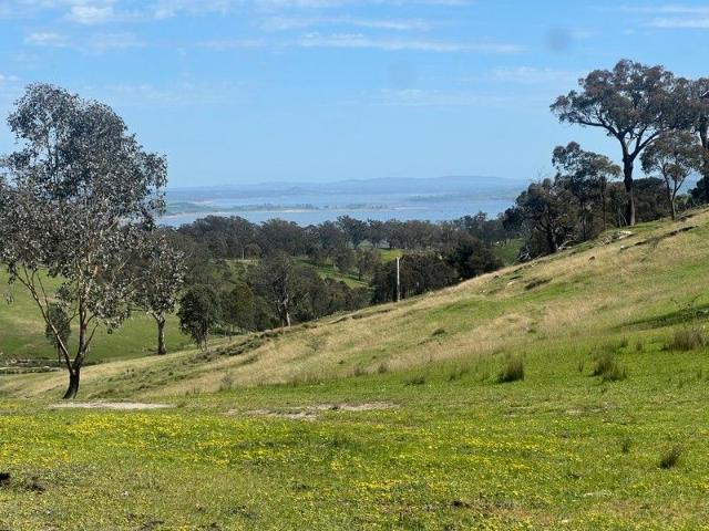 HARRY'S PADDOCK 42.6*Ha | 105.3*Acres