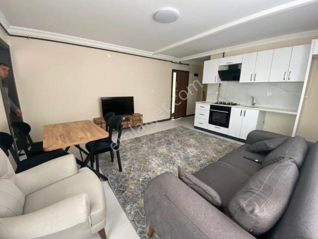 Hastane Civarı 1+1 Eşyalı Daire