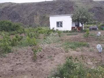 Hasancıda Elektiriği Suyu Her Şeyi Hazır Satılık Bağ
