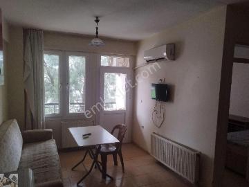 Serinyol, Antakya, Antakya, Hatay, Akdeniz Bölgesi