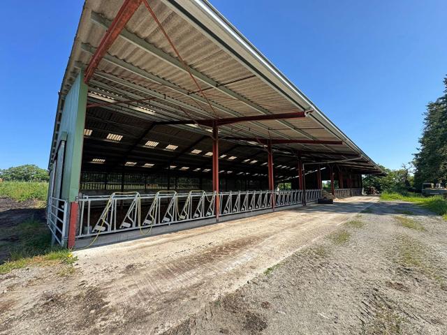 Haute Vienne Exploitation agricole de 151 hectares avec grande maison et dépendances