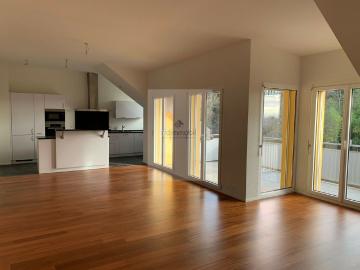 House for rent in Altenryf - Kamin