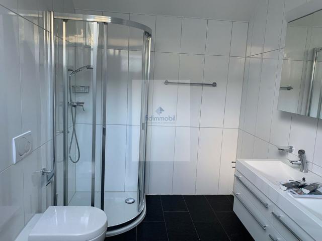 HAUTERIVE IN THE HEART OF THE VILLAGE MAGNIFICENT DUPLEX