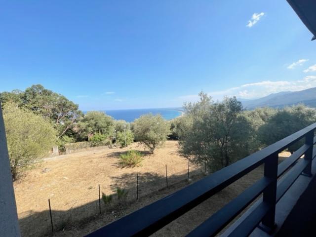 Hauteurs Bastia Appartement F3 avec terrasse et vue mer