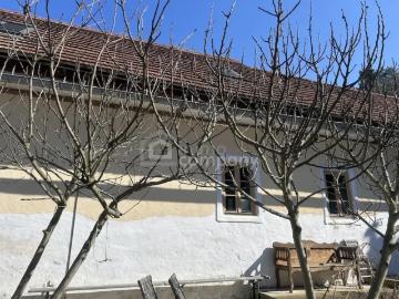 Haus kaufen in Burgenland - Garten