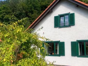 Haus mieten in Bezirk Neunkirchen - Abstell-kammer