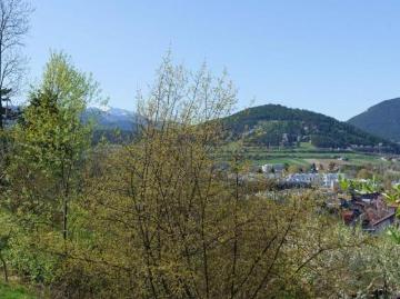 Haus kaufen in Bezirk Neunkirchen - Keller