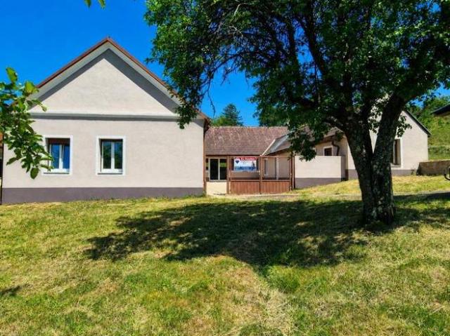 Ein Anwesen voller Möglichkeiten Haus mit zwei Wohneinheiten oder Stall, flexibel als Wohn und Wirtschaftsgebäude nutzbar, dazu ein Kellerstöckl sowie weitläufige Wiesen und Ackerflächen