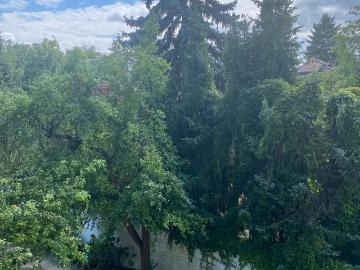 Querstraße, Berlin, Dahlem, Berlin, Düppel, Zehlendorf, Kleinmachnow, Spreewald, Bundesland Brandenburg