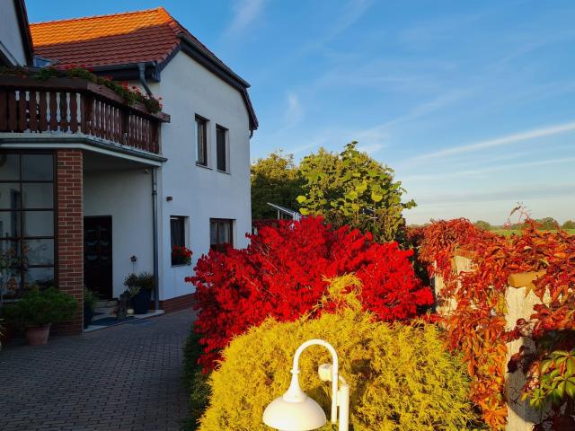 Haus mit Garten und Pool, unweit von Jessen/E. und Holzdorf Ost