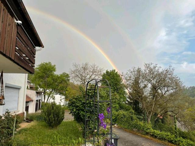 Haus mit großem Grundstück