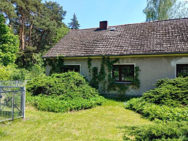 Haus mit grosser Scheune und weitläufigem Garten