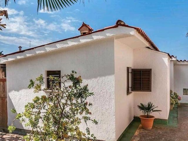 Haus mit Olivenhein in Medulin