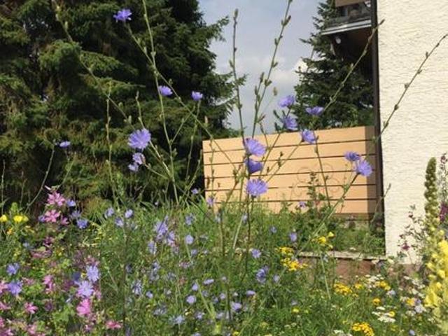 Haus mit schönem Natur Garten