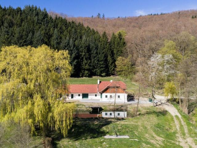 Haus Niederösterreich Niederösterreich 105028457