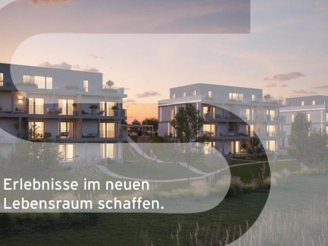 Haus Niederösterreich Niederösterreich 105035316