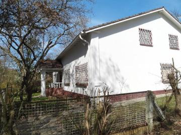 Haus am Park Frankfurt Sossenheim 2300qm Grundst,14Z,450 qm Nutzf