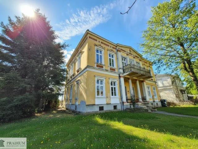Haus Bad Vöslau Bad Vöslau 105504812