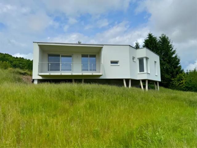 Haus Bocksdorf Bocksdorf 105484823