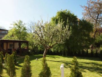 Haus Eiche in Potsdam, 1 Zimmer Apartment mit kleiner Küche und Bad ca. 16 m²