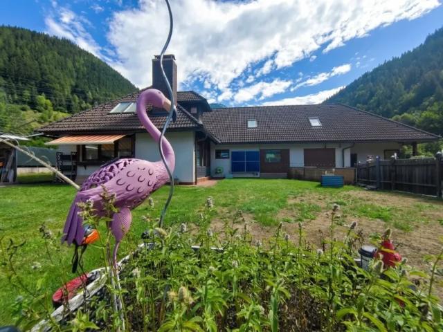 Haus Eisenerz Eisenerz 105436930
