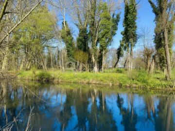 Gattendorf, Bezirk Neusiedl am See, Burgenland