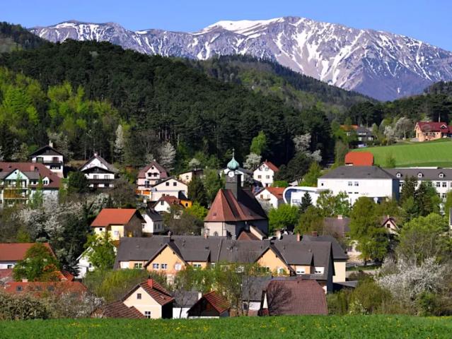 Haus Grünbach Am Schneeberg Grünbach Am Schneeberg 103149035