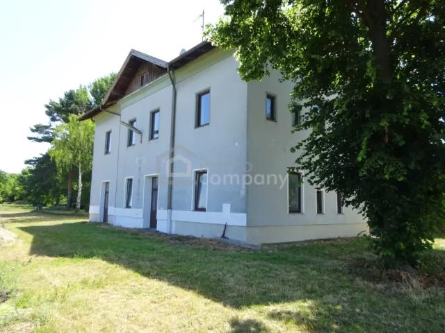Zu Verkaufen Haus Haugsdorf Haugsdorf DS102025368