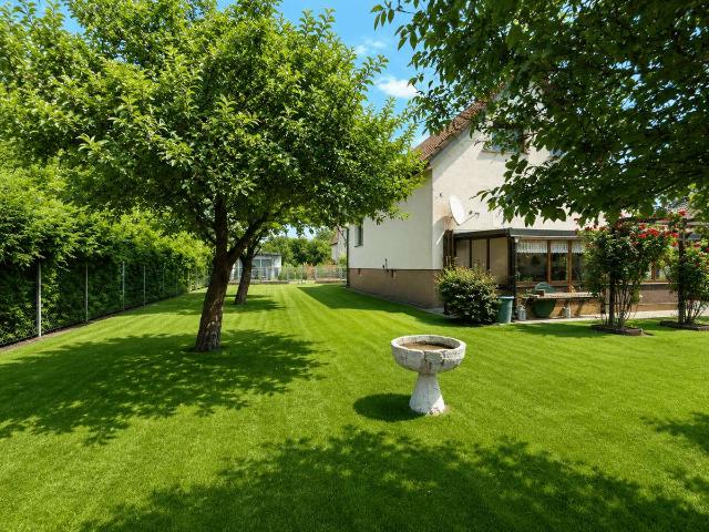 Haus im Grünen nähe Senftenberger See