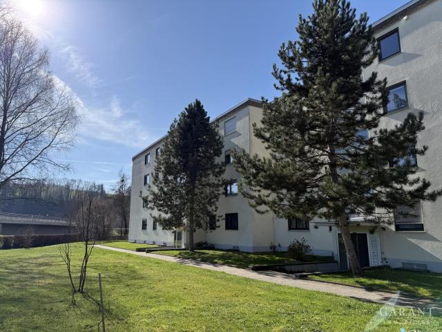 Haus im Haus 4 1/2 Zimmer Wohnung mit Balkon