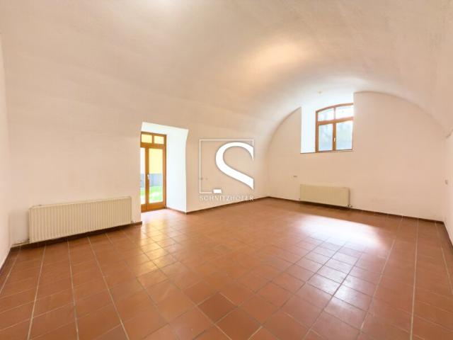 HAUS im HAUS in HALLEIN | Maisonette mit Gewölbe | bis zu 5 Zimmer & Platz für Ihre Arbeit