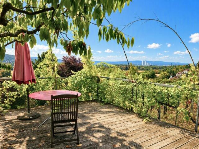 Haus Im Schlipf Liebhaberobjekt umgeben von Weinreben