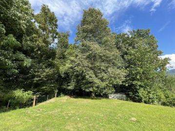 Arnfels, Bezirk Leibnitz, Steiermark - Keller