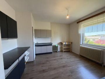 Haus kaufen in Au am Leithaberge - Keller