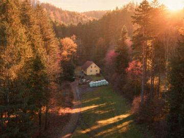 Charmantes Einfamilienhaus in absoluter Ruhelage | ca. 160 m² Nutzfläche | 859 m² Eigengrund | Bucklige Welt | 360° Rundgang