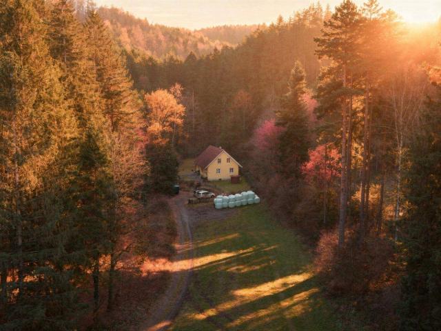 Charmantes Einfamilienhaus in absoluter Ruhelage | ca. 160 m² Nutzfläche | 859 m² Eigengrund | Bucklige Welt | 360° Rundgang