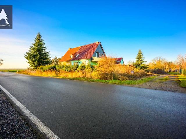 Haus in Frose: Rohdiamant am Ortsrand mit XXL Garten