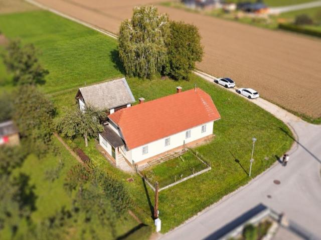 Haus Kärnten Kärnten 106151702