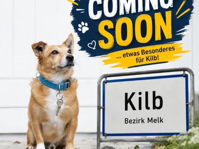 Haus Kilb Kilb 104403293