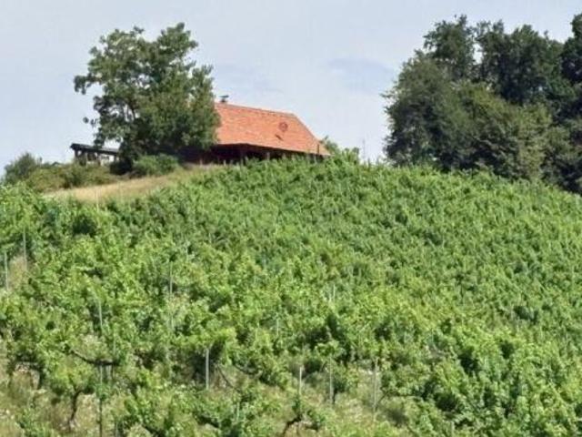 Haus Leutschach Leutschach 104438190