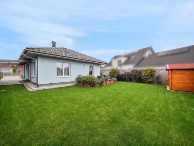 Haus Rust Burgenland 105347474