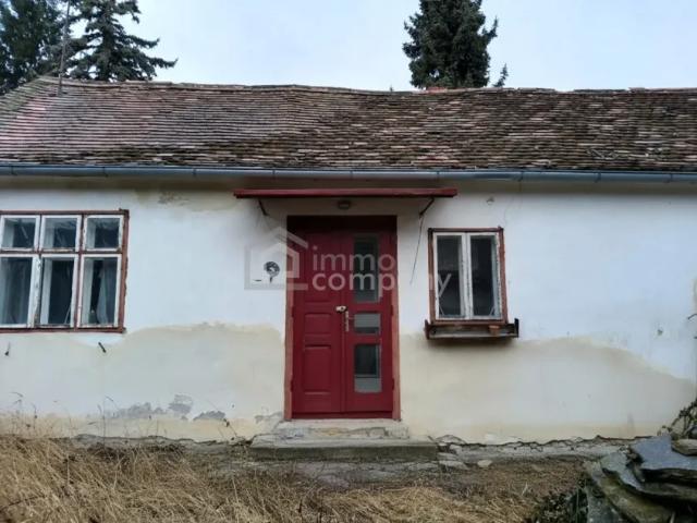 Zu Verkaufen Haus Rechnitz Rechnitz DS102023058