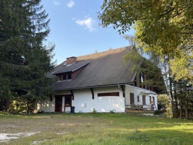 Zu Verkaufen Haus St. Stefan St. Stefan DS102242246