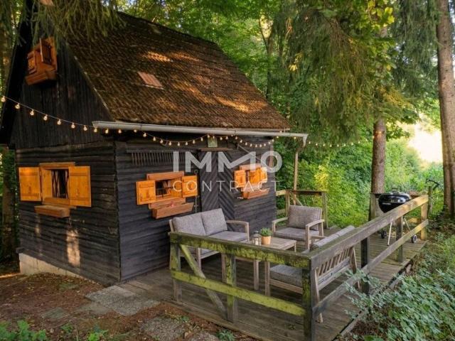 Haus Steiermark Steiermark 104867278