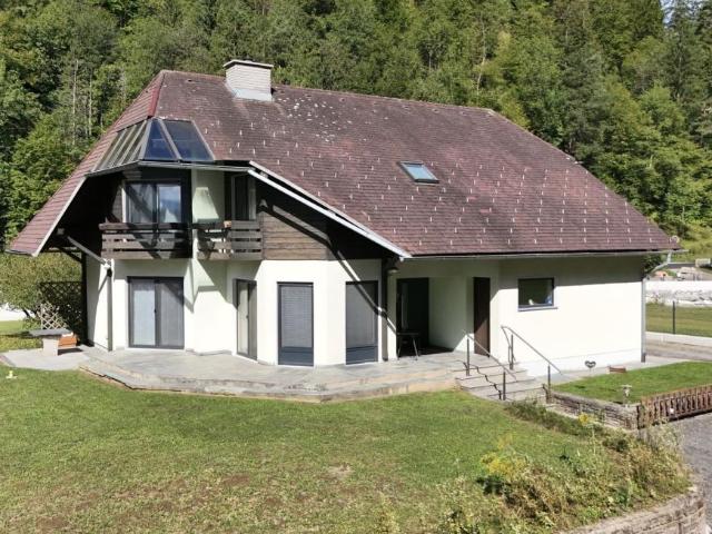 Haus Steiermark Steiermark 105760896