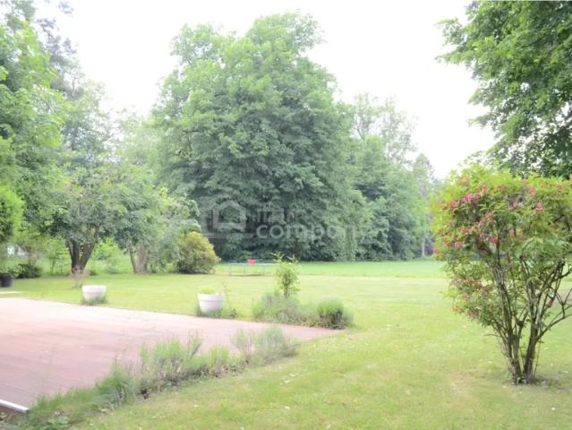 Zu Verkaufen Haus Seebenstein Seebenstein DS102025354