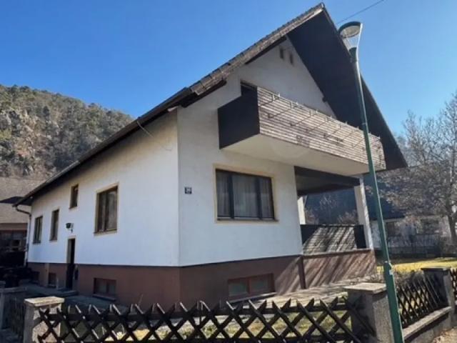 Haus Senftenberg Senftenberg 104807227
