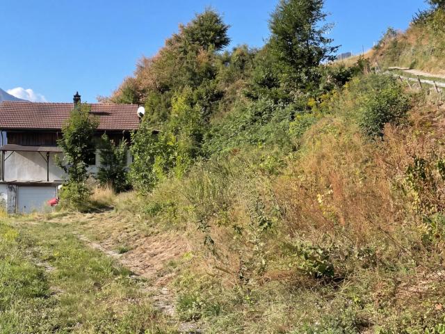 Haus soll in zwei Wohnungen umgewandelt werden, Genehmigung erteilt — Gruyères