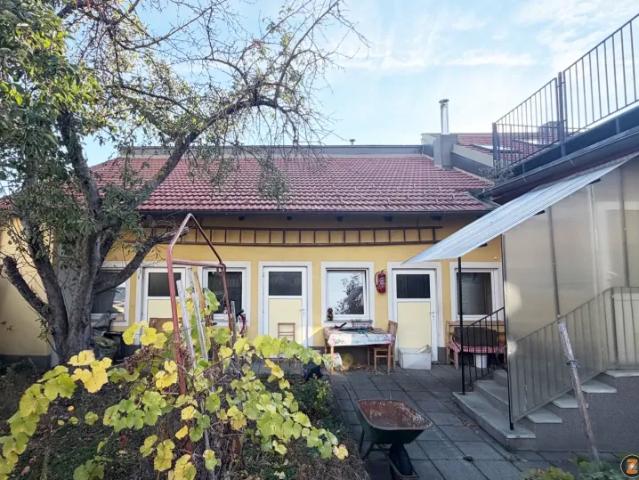 Haus Sollenau Sollenau 106137755